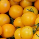 Pomidor cherry żółty