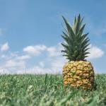 ananas baby