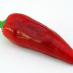 papryka jalapeno