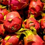 dragon fruit