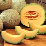 melon cantaloupe