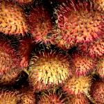 rambutan