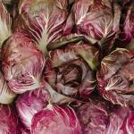 sałata radicchio