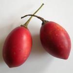 tamarillo czerwone